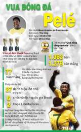 hướng dẫn sử dụng vua bóng đá pelé