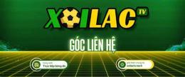 hướng dẫn sử dụng xem bóng đá trực tuyến xoilac luong son tv
