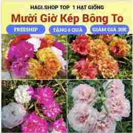 kep bong da