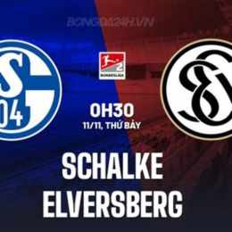kết quả bóng đá schalke 04