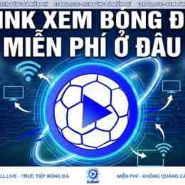 link xem bóng da