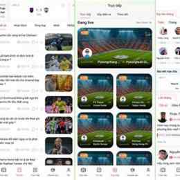 livesport bóng đá
