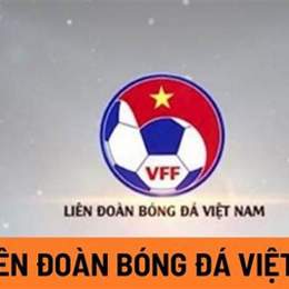 logo liên đoàn bóng đá việt nam