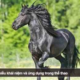 ngựa ô là gì trong bóng đá