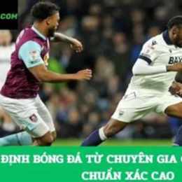 nhận định bóng đá từ chuyên gia