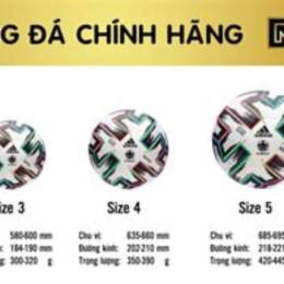 quả bóng đá c1