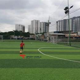 sân bóng đá hiếu hoàng long