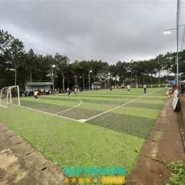 sân bóng đá mini gia lai ảnh