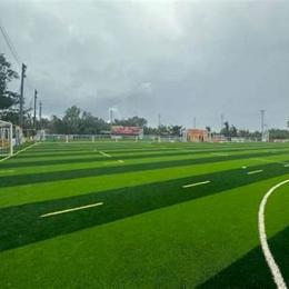 sân bóng đá - phủi bình tân