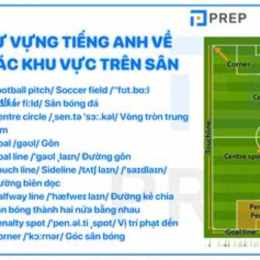 sân bóng đá tiếng anh