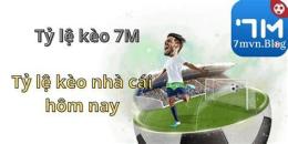 tính năng nổi bật 7m -- tỷ lệ bóng đá mà cao
