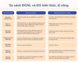 tính năng nổi bật bài đánh giá về câu lạc bộ bóng đá hải phòng