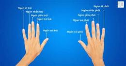 tính năng nổi bật bong da ngón tay