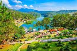 tính năng nổi bật bông trang đà lạt