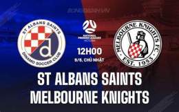 tính năng nổi bật câu lạc bộ bóng đá st albans saints