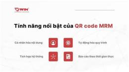 tính năng nổi bật code quay the bong da