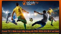 tính năng nổi bật cucai tv trực tiếp bóng đá