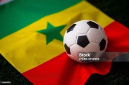 tính năng nổi bật đội tuyển bóng đá quốc gia senegal
