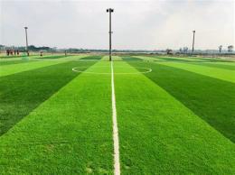 tính năng nổi bật giá cỏ nhân tạo sân bóng đá