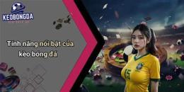 tính năng nổi bật keo bong da ngày mai