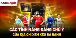 tính năng nổi bật keo đa bong hom nay