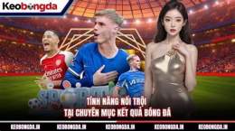tính năng nổi bật kết quả bóng đá hom
