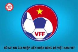 tính năng nổi bật liên đoàn bóng đá vn