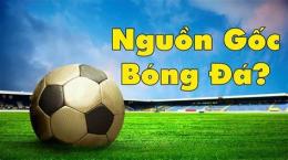 tính năng nổi bật nguồn gốc bóng đá
