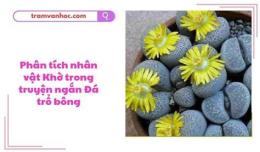 tính năng nổi bật phân tích bài đá trổ bông