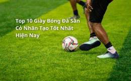 tính năng nổi bật sân cỏ bóng đá