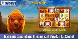 tính năng nổi bật sbobet bong da