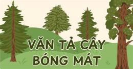 tính năng nổi bật tả cây bóng mát lớp 4 cây đa