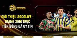 tính năng nổi bật trang bóng đá uy tin