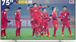 tính năng nổi bật trực bóng đá world cup