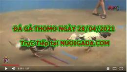 tính năng nổi bật trực tiếp đá gà sao bông 67