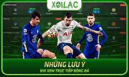tính năng nổi bật tv trực tiếp bóng đá xoilac tv