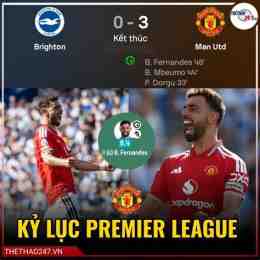 tính năng nổi bật tỷ số bóng đá brighton