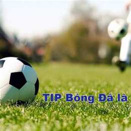 típ bóng đá
