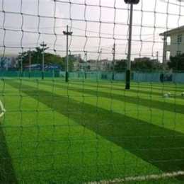 trang bóng đá lậu
