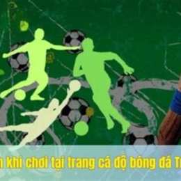 trang cá bóng đá