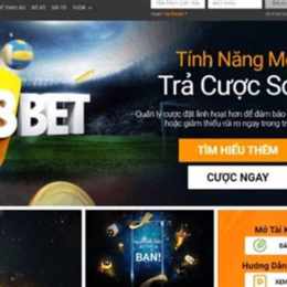 trang web cá độ bóng đá việt nam