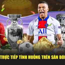 trực tiếp bóng đá gà siêu phệ
