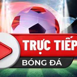 truc tiep bong da socolive blv leo