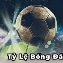 ty le bóng đa