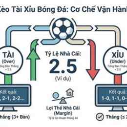 tỷ lệ tài xỉu bóng đá