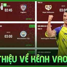 vaoroi tv bóng đá