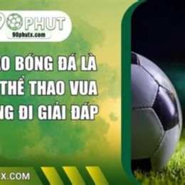 vì sao bóng đá là môn thể thao vua