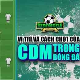 vị trí cdm trong bóng đá