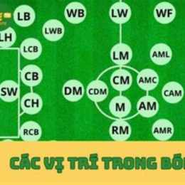 vị trí df trong bóng đá