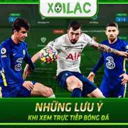 xem trực tiếp bóng đá xoilac tv